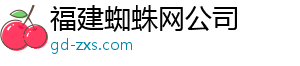 福建蜘蛛网公司
